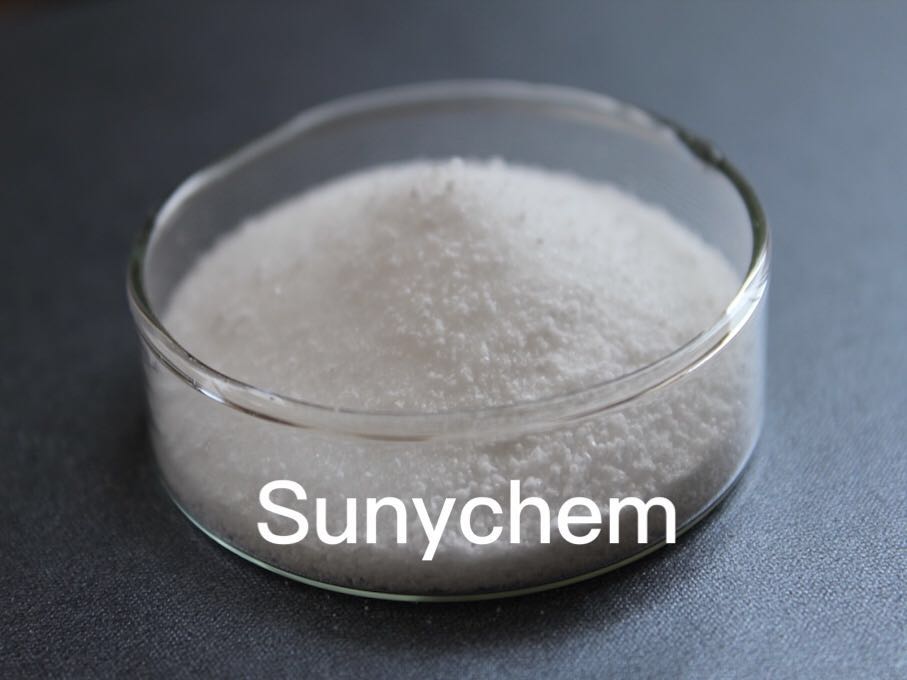 氯乙烯与乙烯基异丁基醚的共聚物